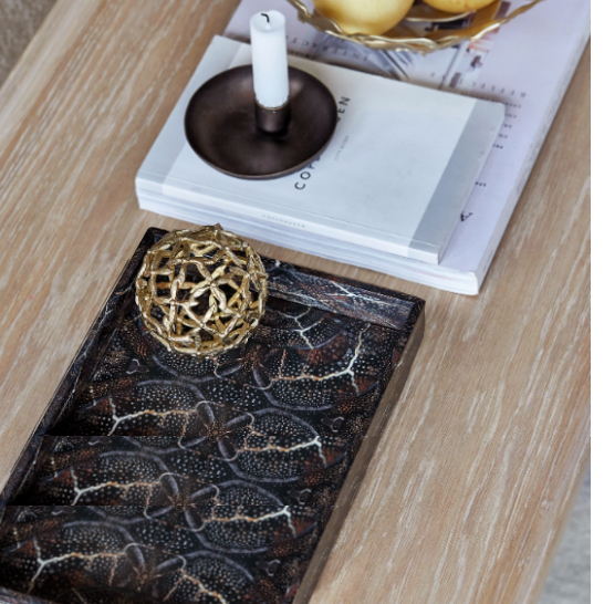 PRINT Lacquer Tray 38*19*3,5 Snake
