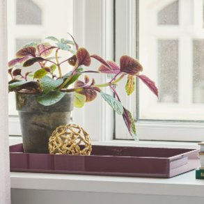 LUX Lacquer Tray 38*19*3,5 cm