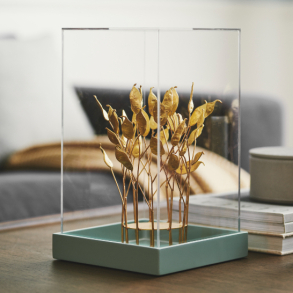 PIX Plexi Dome 17,5*17,5*31 cm